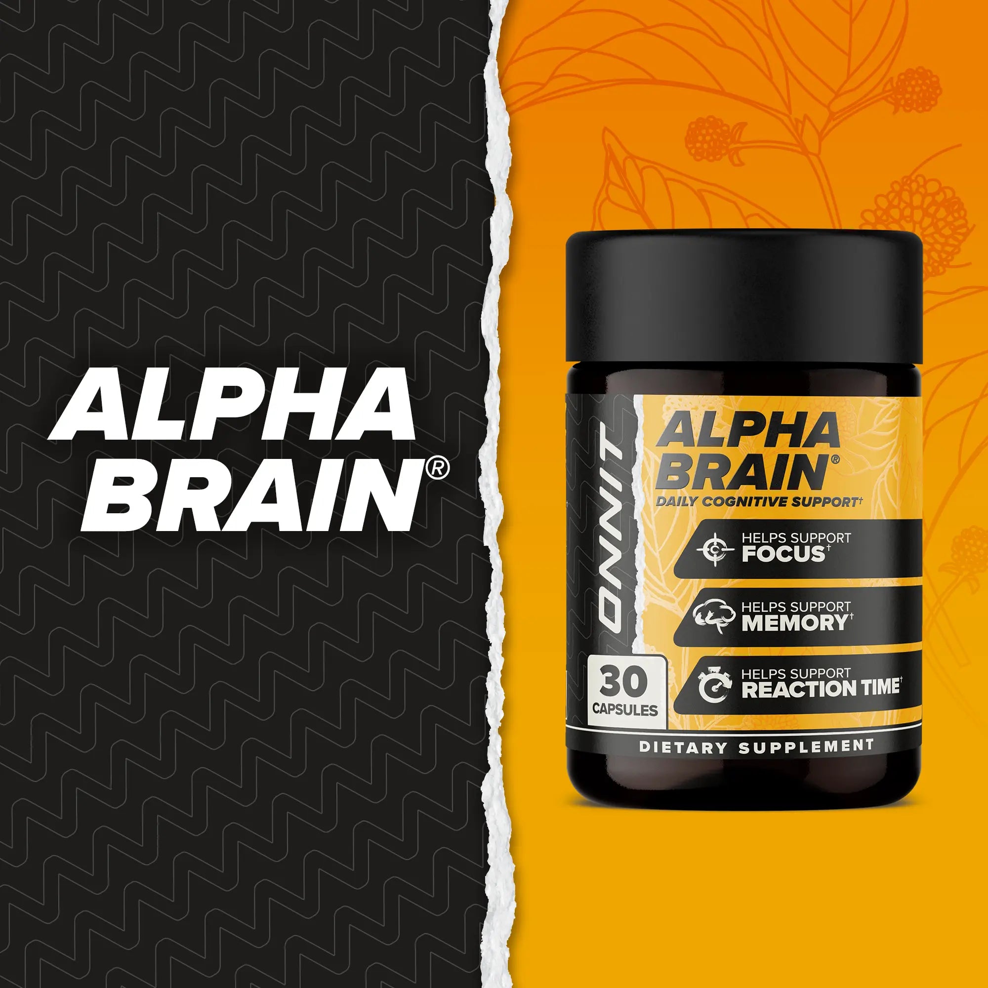 ONNIT Alpha Brain Nootropic Brain Supplement for Men & Women | Memory, Mental Clarity & Cognitive Improvement | Focus Capsules with L-Theanine, Vitamin B6 & Phosphatidylserine (30 Count)